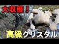 誰も近寄れない崖の上には高級水晶がたくさんあった！！