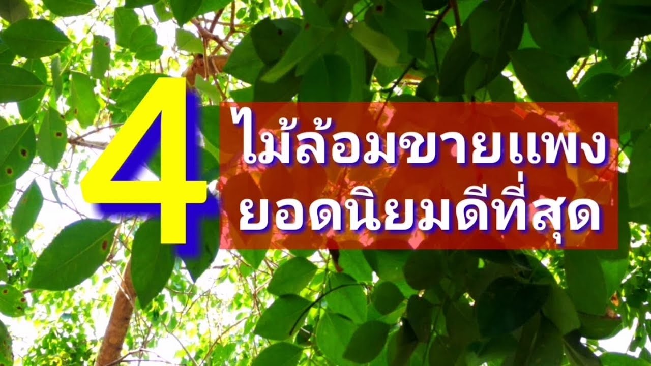 พระเครื่องยอดนิยม 2566