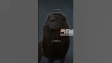 غاب الاسد من الغابة يومين 