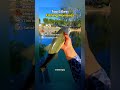 Top 5 Best Fishing Moments 🎣 #tiktok #best #fishing