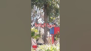 سورة الواقعة بصوت الشيخ يوسف العيدروس