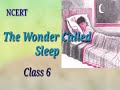 The wonder Called Sleep : NCERT Class 6#english #education #basic #grammar #ytshort #5emodel #tgt