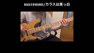 RADIPHONE/カラスは真っ白#ベース #cover #弾いてみた #bass #毎日投稿 #邦ロック けん