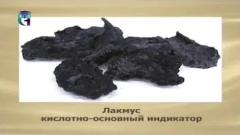 Лакмус