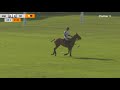 UAE Polo vs Abu Dhabi Polo | Best Goals Gold Cup 2021 | Dubai Polo Season