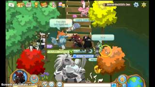 Guide to animal jam:Clans