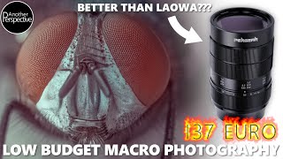 Best Low Budget Macro Lens to Buy in 2023 | PERGEAR 60mm 2:1