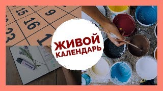 Линия и Пространство времени Линия и Пространство времени