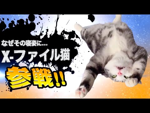ヤバ過ぎネッコ全員参戦！！part84