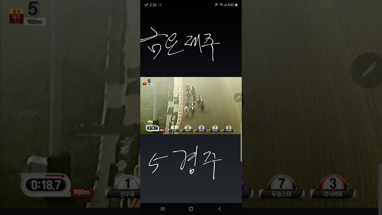 10월18일 제주5경주 복승식 55배 적중