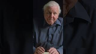How Ocean with David Attenborough became a story of hope