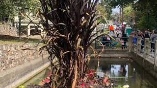 Berkeley Springs Apple Butter a festival 2019