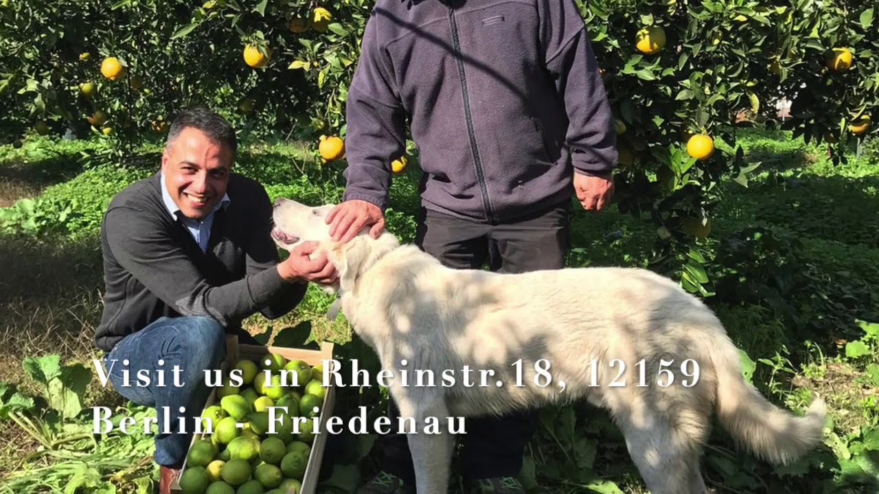 Our supply chain in Ribera, Sicily