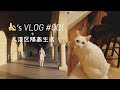 🍌Vlog | 疫情下的湾区 |逛逛斯坦福 |三番市中心流浪汉遍布？| 新年做新指甲 |