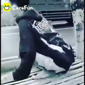 Coco fun #Kata kata simple Sedih😭