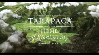 Viña Tarapacá | Home of Biodiversity