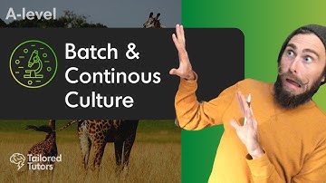 Batch & Continuous Culture | A Level Biology | OCR