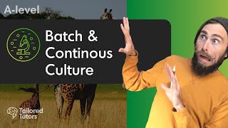 Batch & Continuous Culture | A Level Biology | OCR