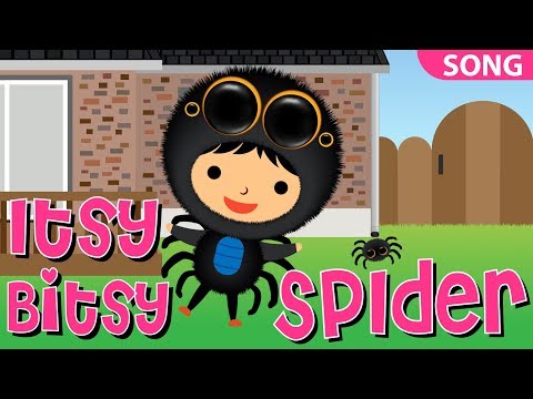 The Itsy Bitsy