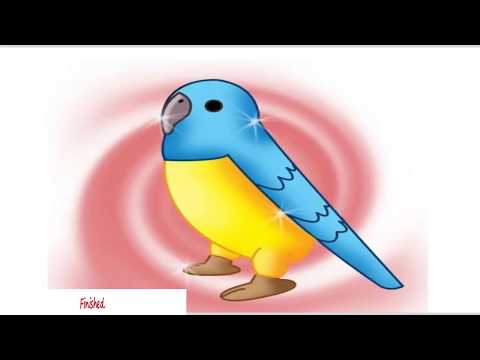 How to Draw a Cartoon Budgie