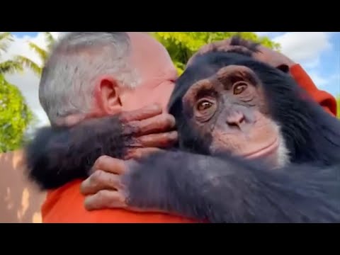 These Animals Don't Forget Their Owners After Years Animal Reunion