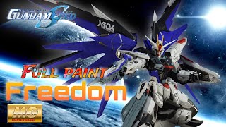 EP1.5 MG Freedom 2.0 full painted