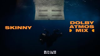 SKINNY (dolby atmos stems)