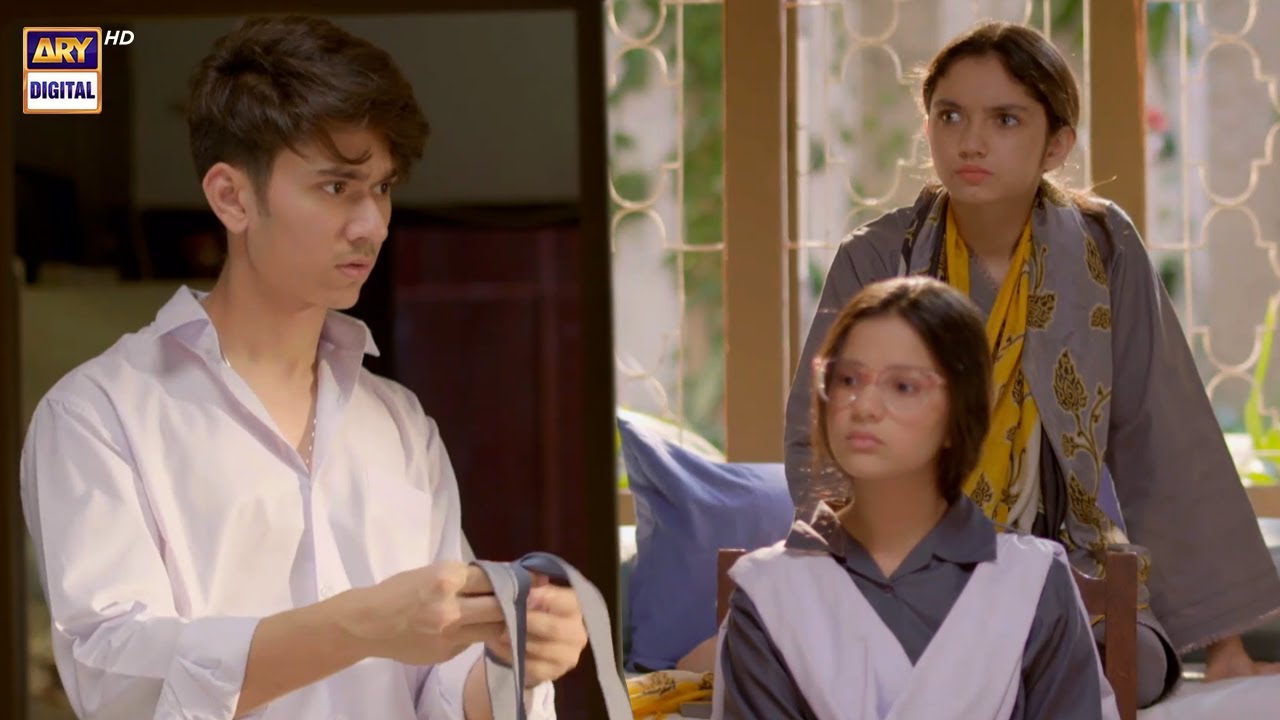 Mayi Ri | Aina Asif | Samar Abbas | Best Scene | ARY Digital