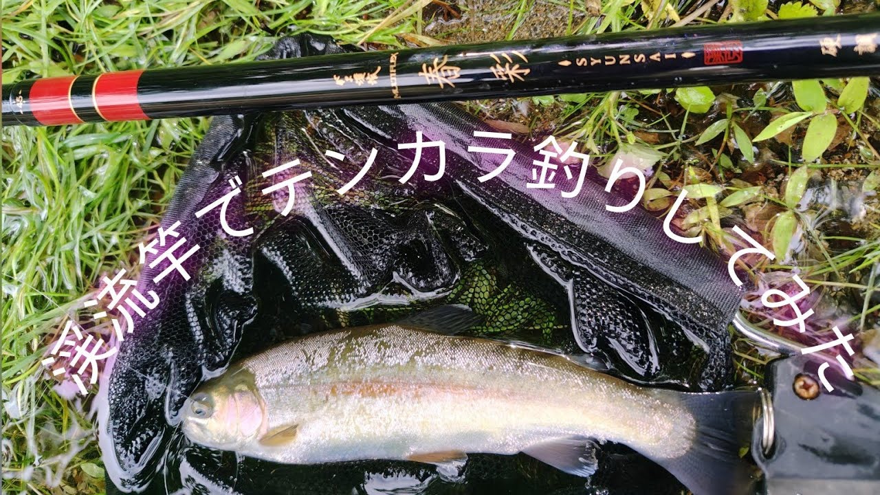 八久和川源流／大イワナの隠れ家を発見［ルアー＆テンカラで呂滝を