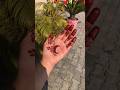 Simple Front Hand Mehendi Designs 🥀✨🌼 Mehndi Henna Trending Aesthetic Simple Front Hand Mehendi Designs 🥀✨🌼 Mehndi Henna Trending Aesthetic