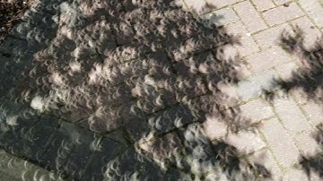 Shadows of solar eclipse