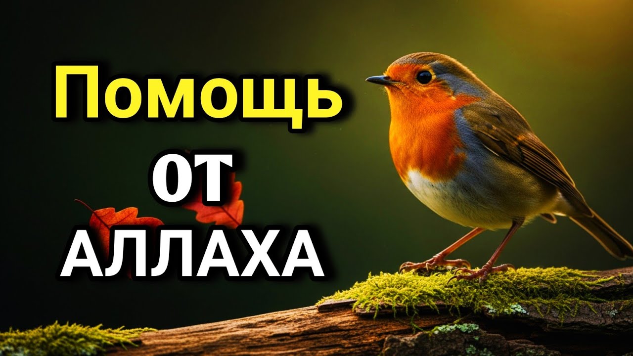 ☝️ ОЧЕНЬ СИЛЬНЫЙ ДУА - Аллах дарует выход из любой трудности! 🔑🤲💯