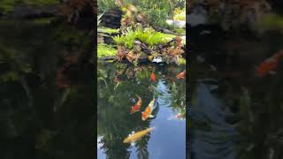 What A Wonderful World