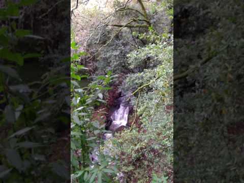 Riacho sonoro de Fav&otilde;es 2016-11-20