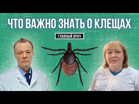 Что важно знать о клещах. Главный врач #6