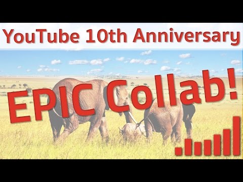 ► Us at the Zoo | YouTube 10th Anniversary EPIC Collab