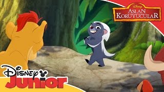 Aslan Koruyucular Ile Müzikli Anlar - Zuka Zama Ne Demek?