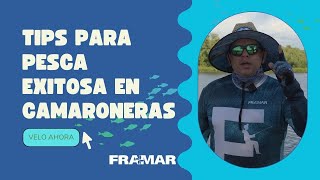 Tips Para Pesca Exitosa En Camaroneras