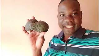 Vatswari vo yiva malepule a minkosin miva kuma kwin mara 