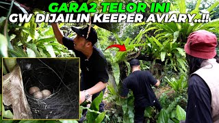 GEMPOR IRFAN HAKIM DIJAILIN KEEPER AVIARY..!! TERNYATA ADA 3 TELOR, TAPI KOK...