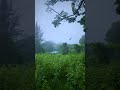 Andaman in June & July | watch full video #andaman #monsoon #barish
