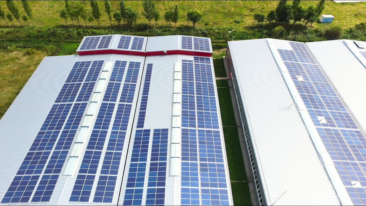 Panourile fotovoltaice BMI Bramac alimentează o hală de producție în Șura Mică