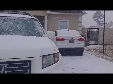 Snow Falling in Goose Creek Around 12:30 p.m.