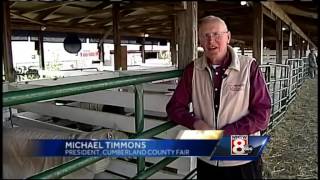Horse races to pumpkin contest at Cumberland County Fair