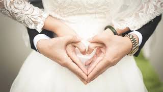 Wedding Planner Demo Video (Animation) Fully Customizable