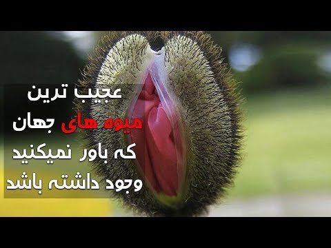 تصویری: چه میوه هایی مغذی ترین هستند