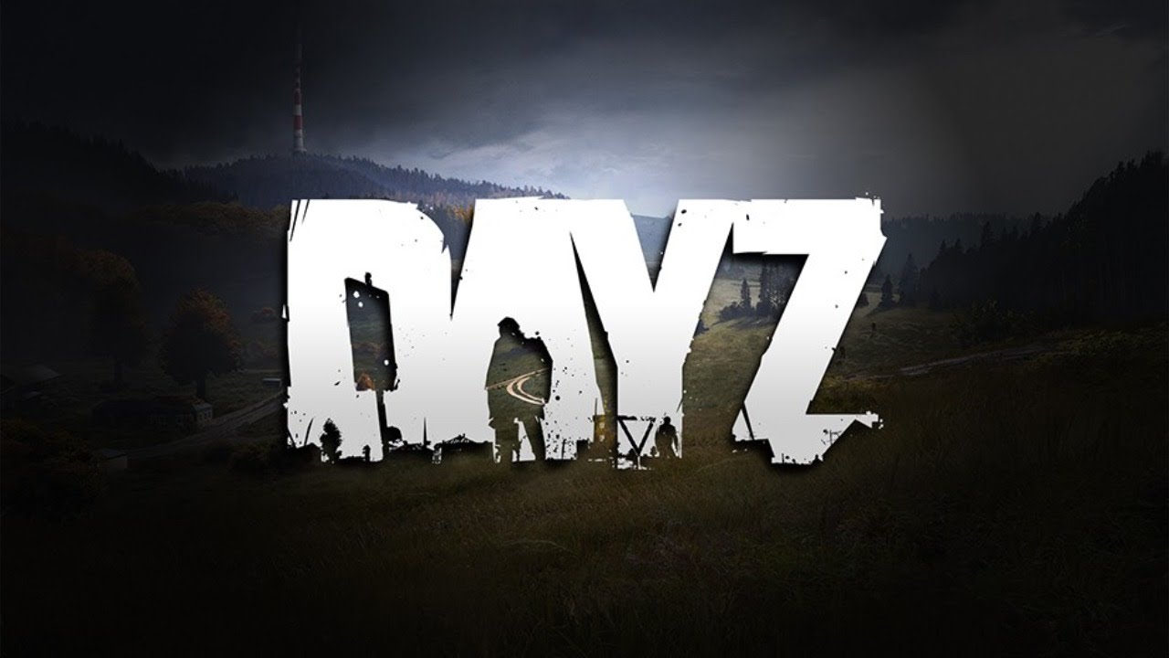 Dayz gun