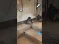 benimkine ne yapmışlar