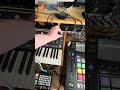 Cyberpunk inspired jam. #moog #cyberpunk 2077 #roland #empress #pioneerdj