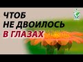 Чтоб не двоилось в глазах. Практика по зрению Руденко В.В. Академия Целителей.